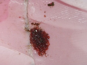 PB060178.jpg