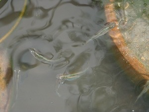 PB060183.jpg